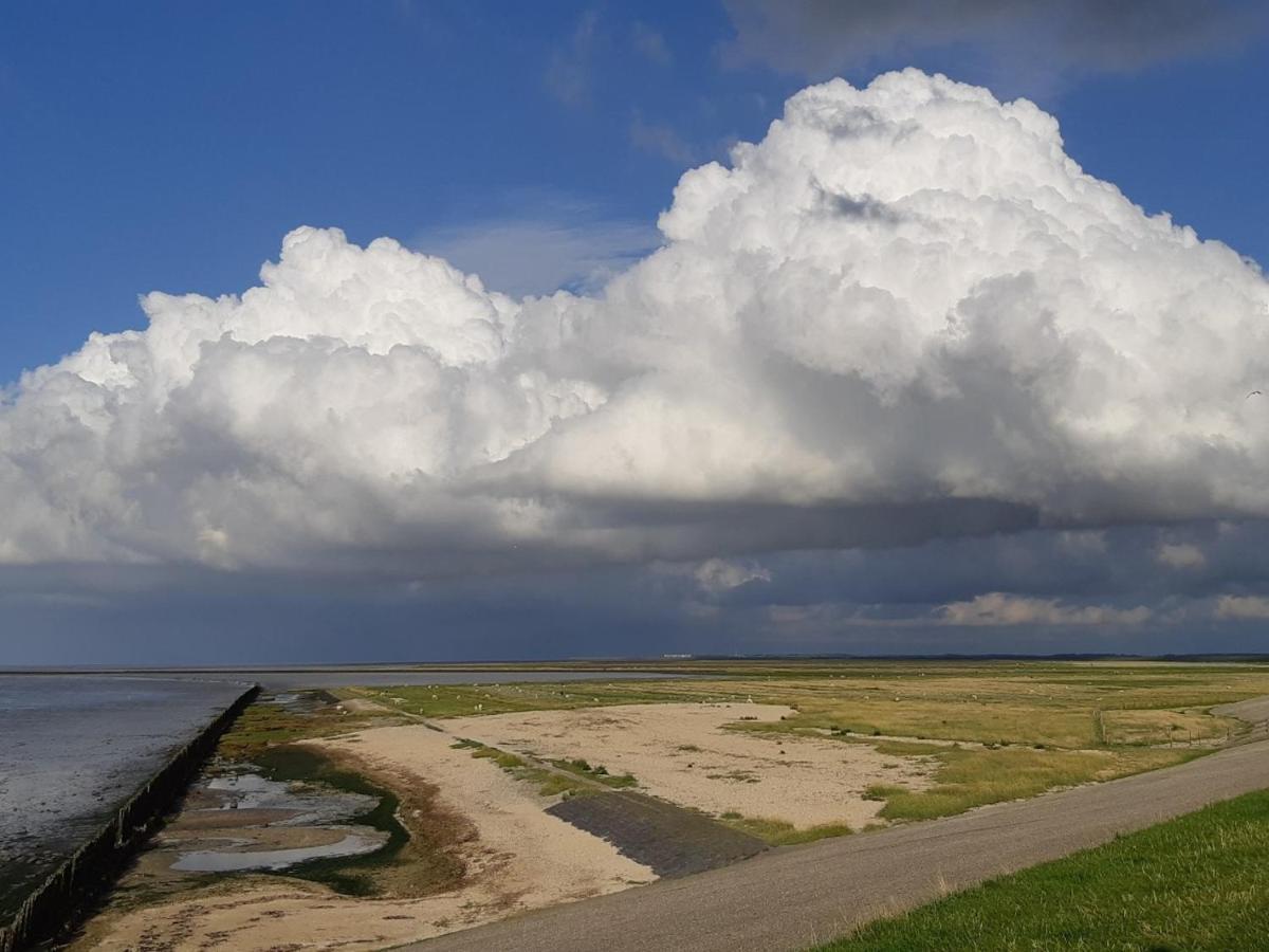 Villa Waddenfestijn Paesens Exterior foto